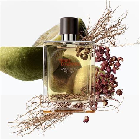 terre di hermes profumo|terre d hermes perfume.